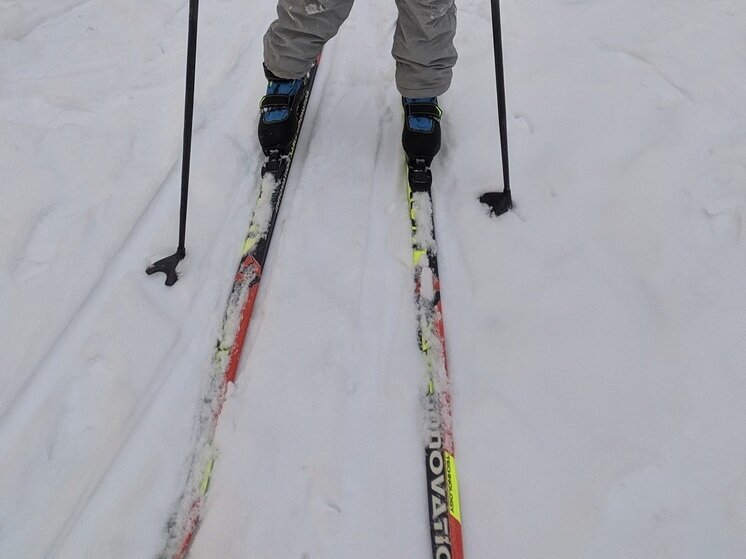     фото: мк в вологде