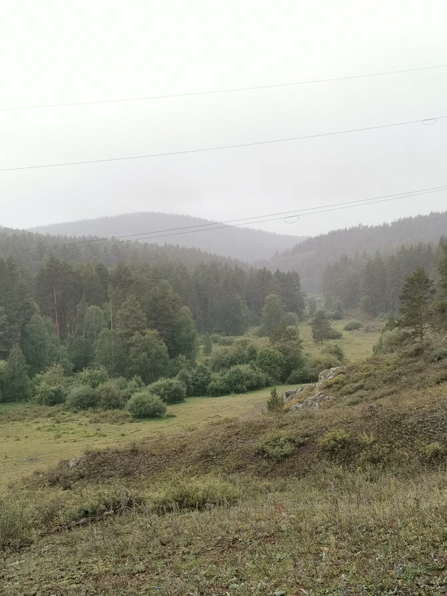 "Если вы признаете, что стресс дает вам необходимый положительный опыт, каждое новое испытание вы будете переносить легче" Келли Макгонигал 