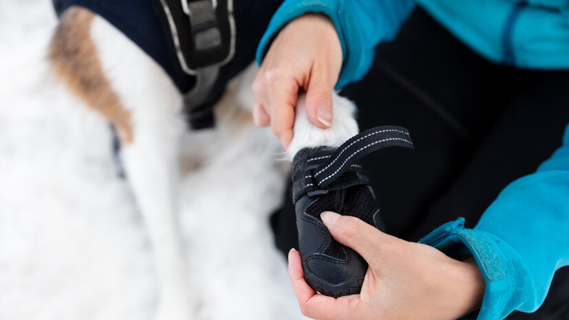 2. Правильно подбирайте обувь