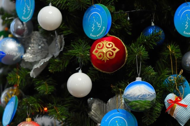    Что за акция «Елка желаний» стартовала в Волгоградской области?