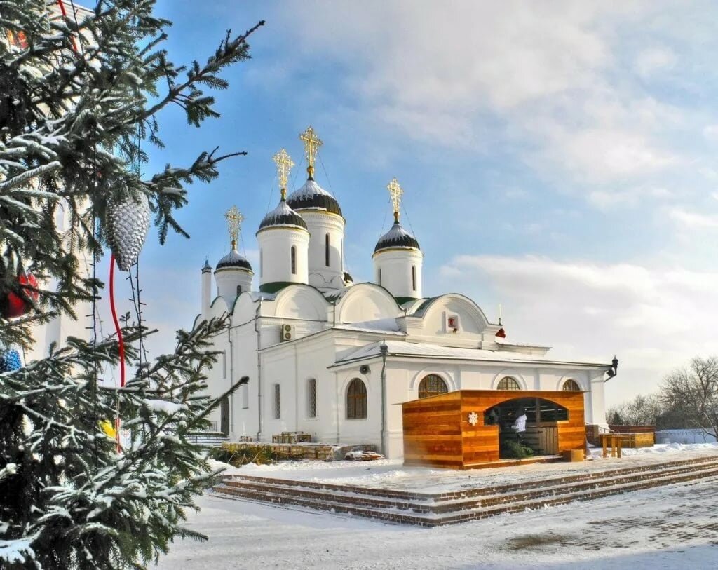 Муром Благовещенский монастырь купола