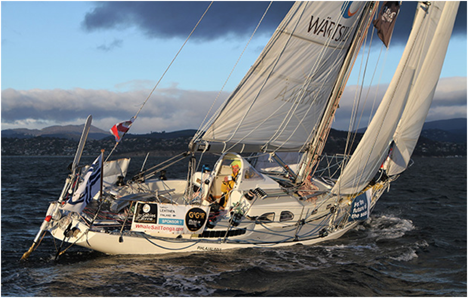 Фото подруливающего устройства на обычной крейсерской парусной яхте. Традиционное механическое подруливающее устройство закреплено на корме (на транце) яхты. Вверху белое аэродинамическое крыло, внизу на чёрной вертикальной оси ниже уровня воды небольшое подруливающее подводное вертикальное крыло (перо)  – триммер. Триммер жёстко связан с аэродинамическим крылом. 