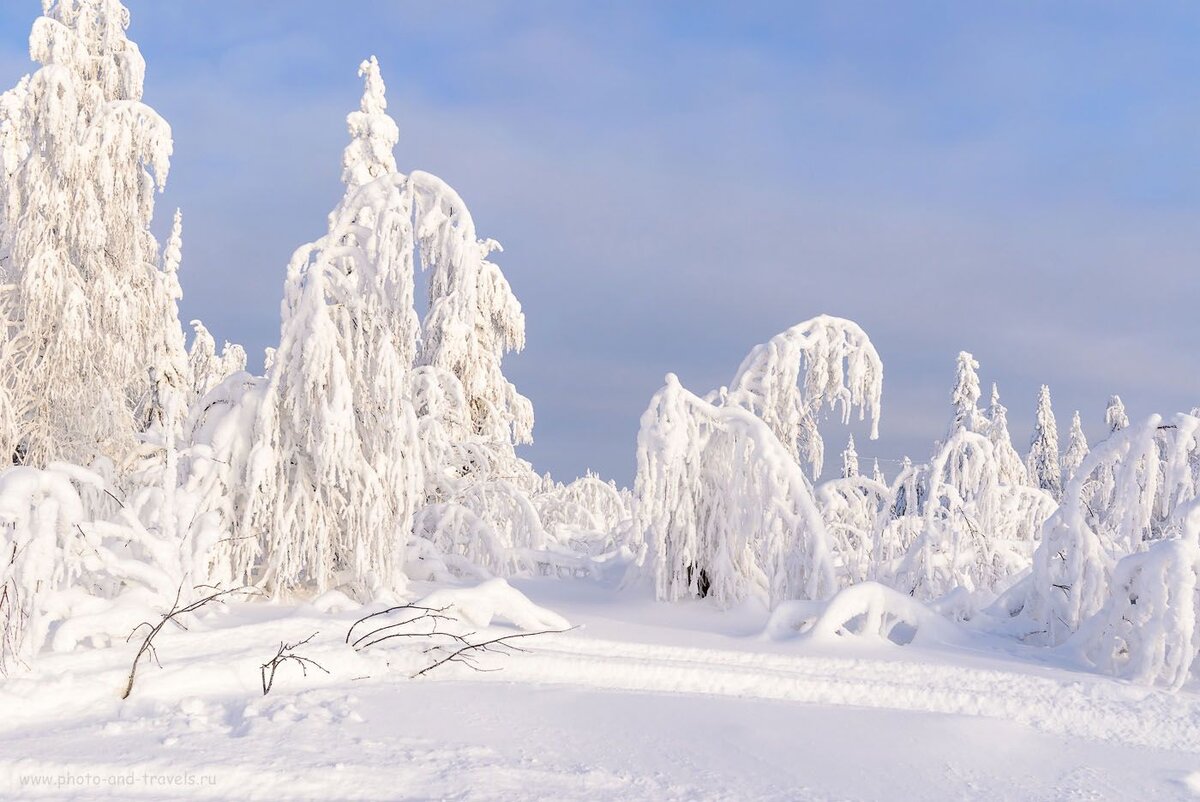 Природа Пермского края зима