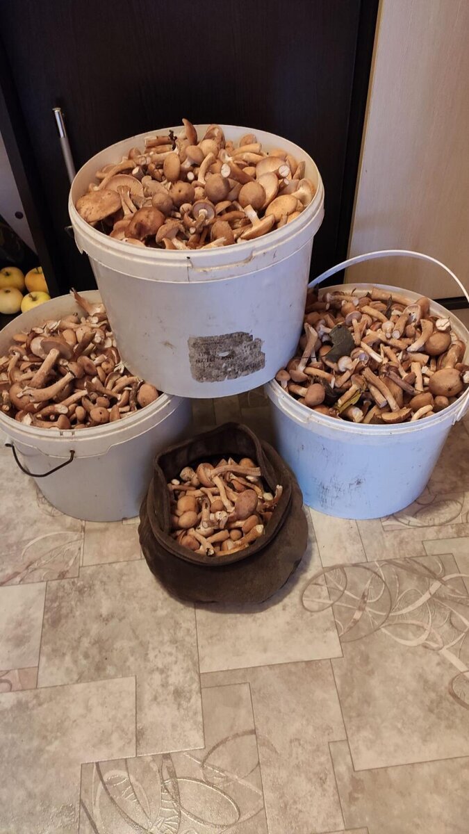 Автор фото Татьяна Белозерцева