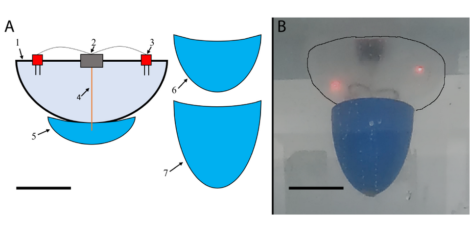   S. R. Anuszczyk and J. O. Dabiri / arXiv, 2023