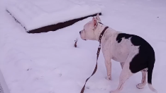 Новые способы общения и тренировки