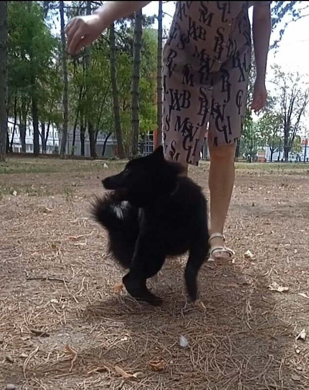 Команда "Кружись"