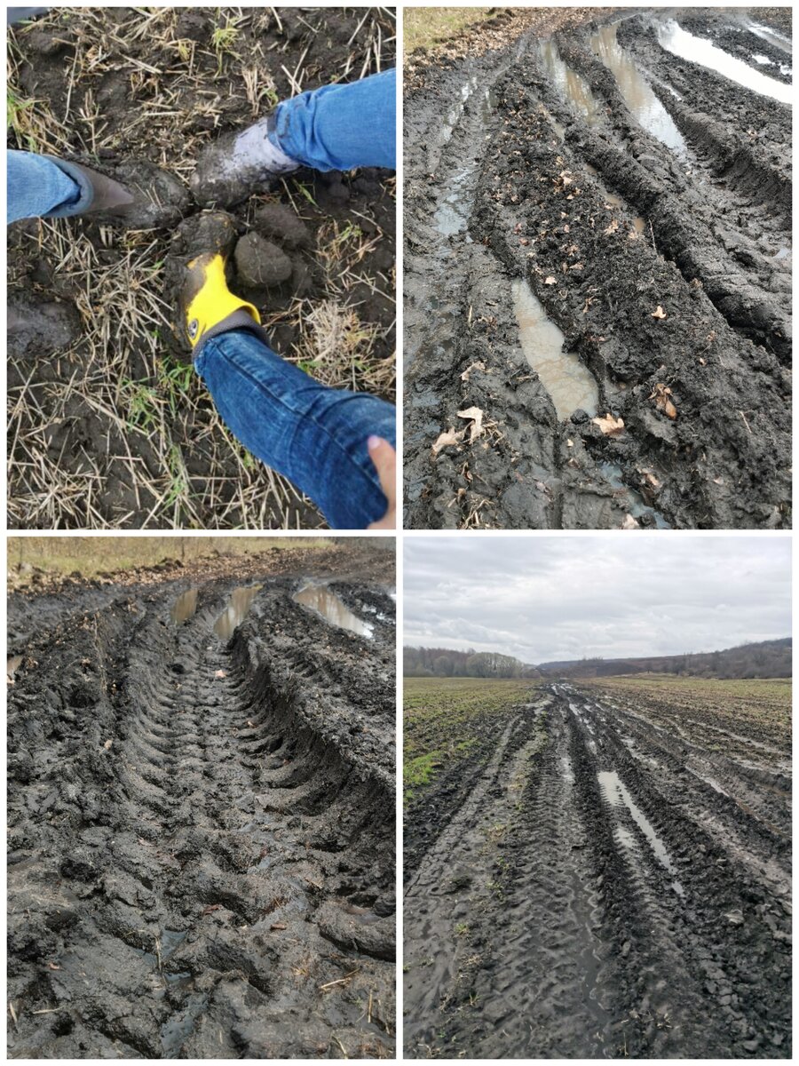 Фото Юлии Перовой