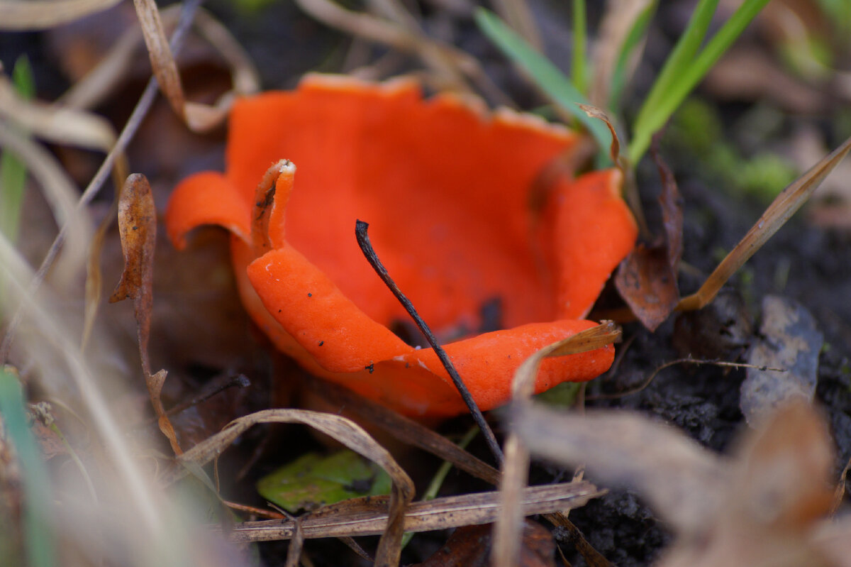 Фото Юлии Перовой 