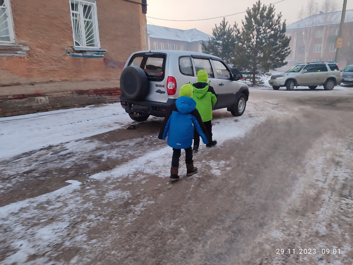 Паша, Вадя, Тыковка. Как смогла так и сфотографировала. Очень старалась