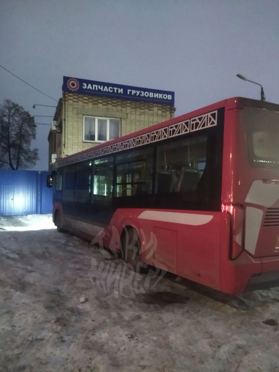 В Туле заметили новые низкопольные автобусы в «львином» дизайне | Myslo.ru  | Дзен