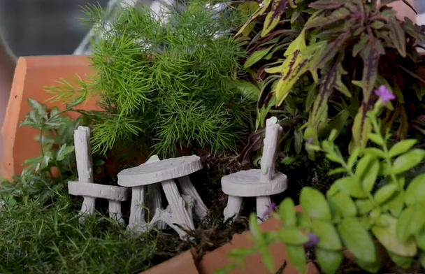 чудо из глиняного горшка