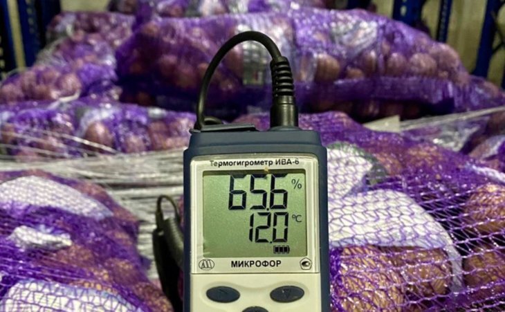    Семенной картофель в Московской области: цифры и факты