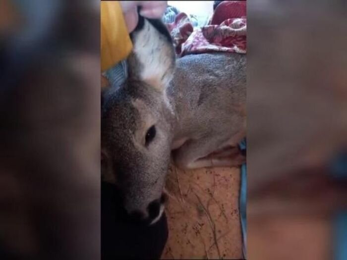 Источник фото: uprvetro.donland.ru