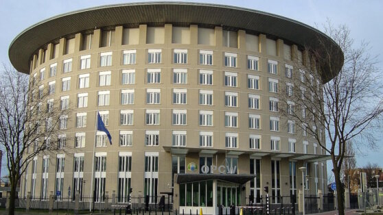    Россия не вошла в Исполнительный совет ОЗХО Юлия Шелковенко