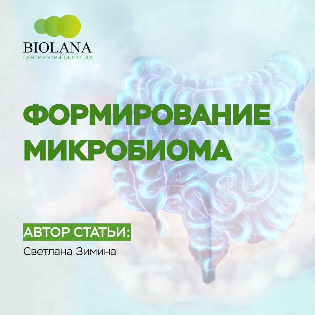 Начинаем публиковать серию постов про микробиом, нутрициолога центра Biolana Светланы Зиминой. Подробнее о ней, можно прочитать тут https://biolana.pro/zimina