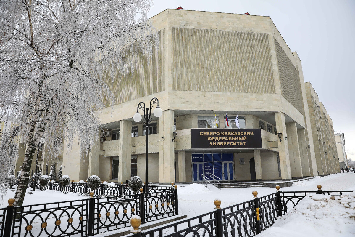 Фото: Илья Хачатурян