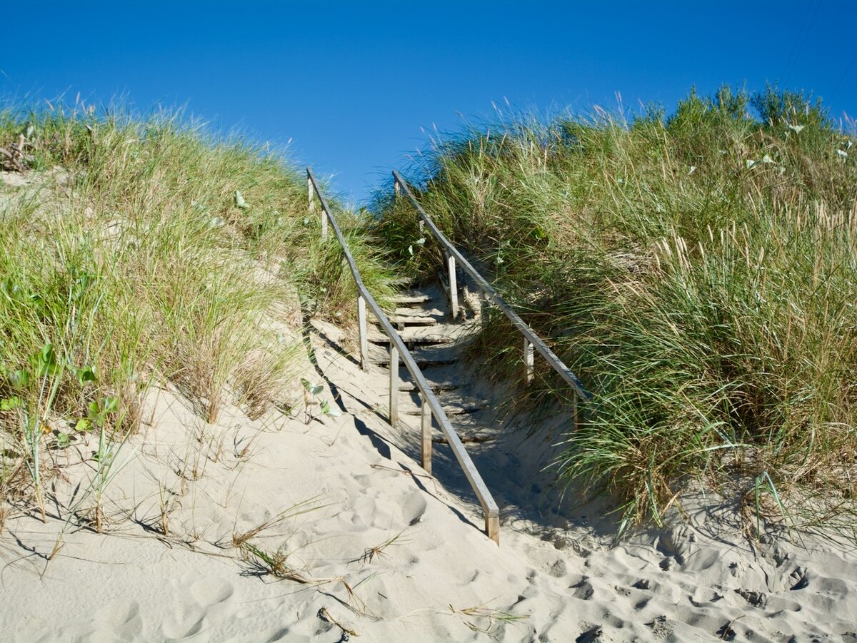 Куршская коса. Август 2013