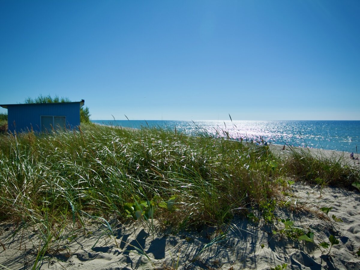 Куршская коса. Август 2013