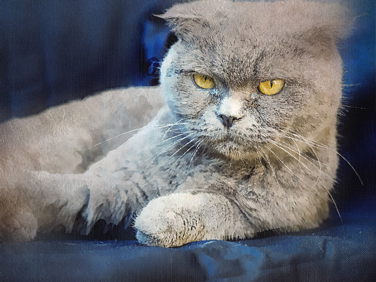 Для иллюстрации использована обработанная фотография с бесплатного фотостока Freepik.