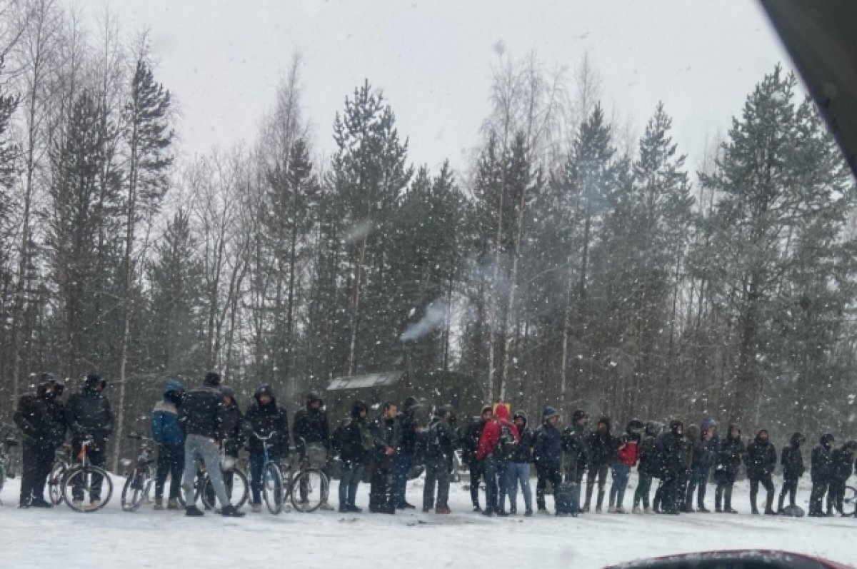    Стало известно, сколько нелегалов задержали в РК у финской границы