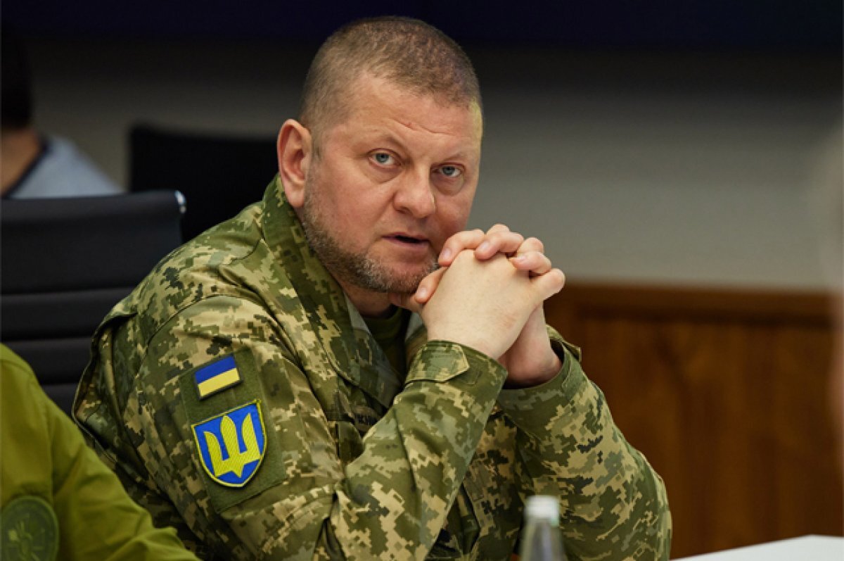    Жарихин: в офисе Зеленского скрыто поглядывают в сторону Залужного