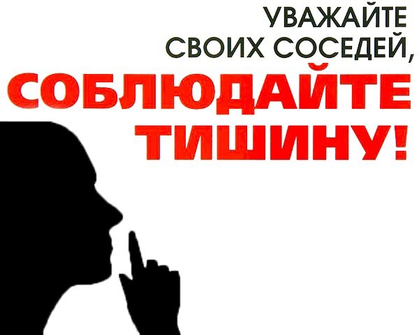 С начала 2023 года в Петербурге за несоблюдение тишины заплатили более 300 тысяч рублей