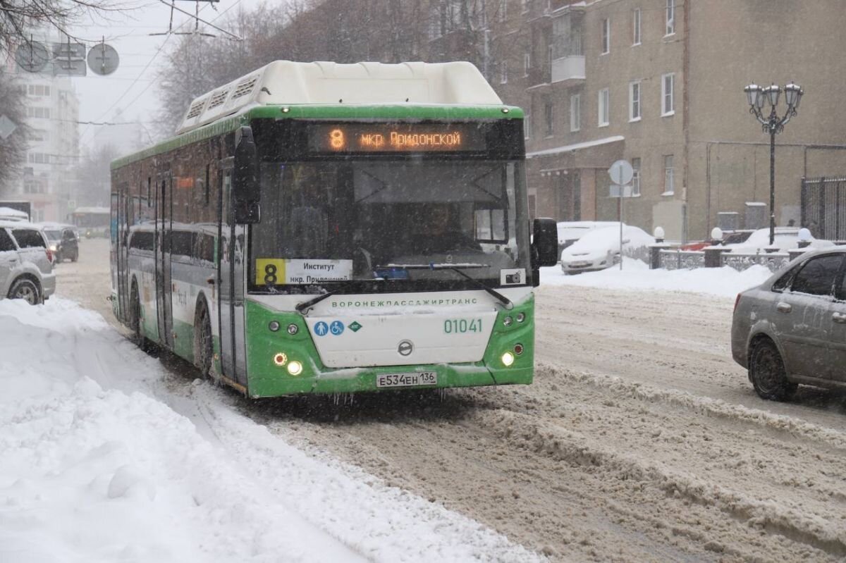 Два воронежских автобуса изменят свой маршрут с 1 декабря | «Воронежские  новости» | Дзен