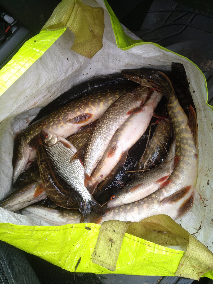 Рыбы было очень много. 