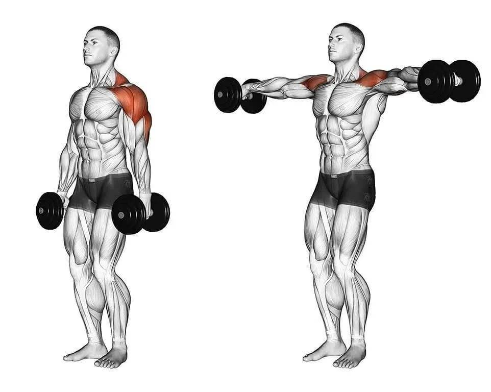 Shoulder exercises. Разводки рук с гантелями в стороны стоя. Отведение гантелей в стороны на среднюю дельту. Махи (разведения) гантелями стоя. Подъем гантелей на плечи стоя.