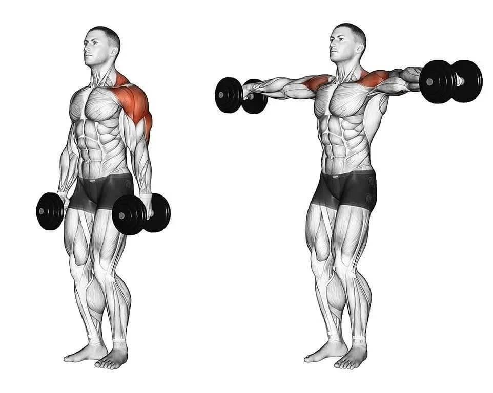 Лучшая домашняя тренировка плеч для увеличения дельт