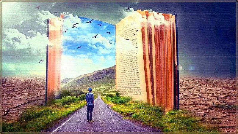 источник https://t.me/moi_otrajenia/556