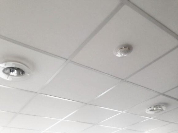    Фото ИА «Росбалт»