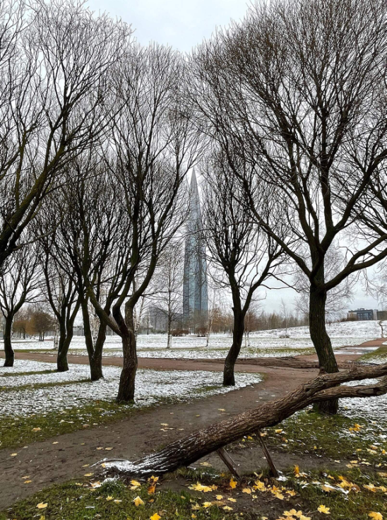 Фото: Галина Белова, https://vk.cc/csL2qH