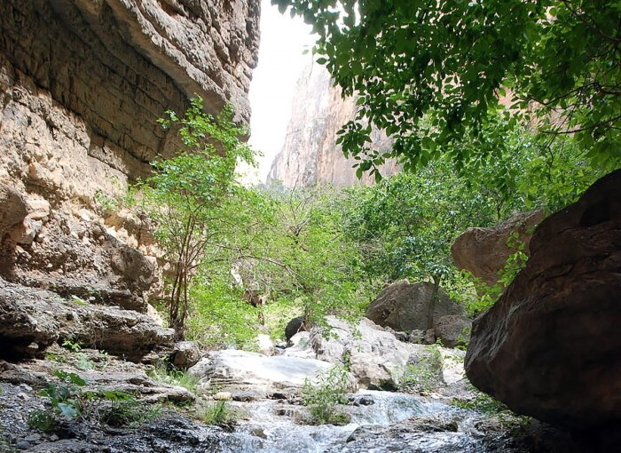 Источник фото: turkmenistan.gov.tm 