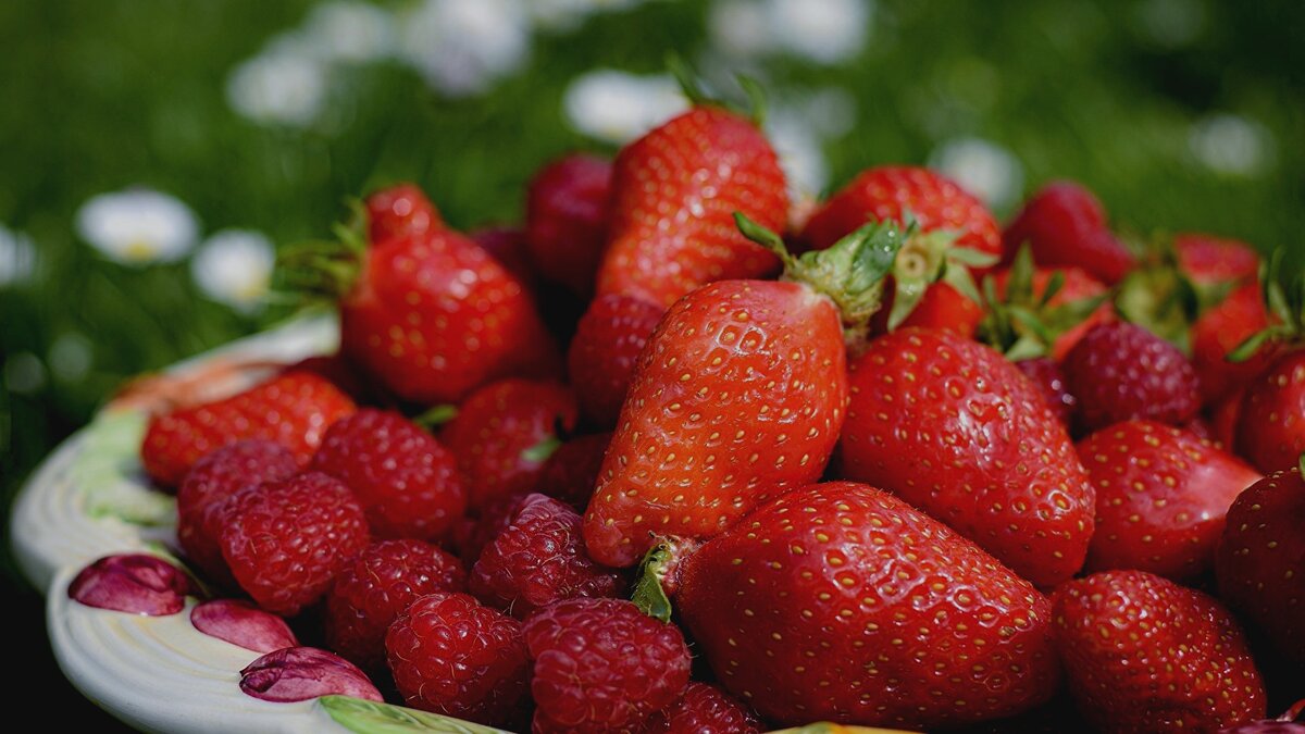 Курыные кости особенно полезны для малины, клубники