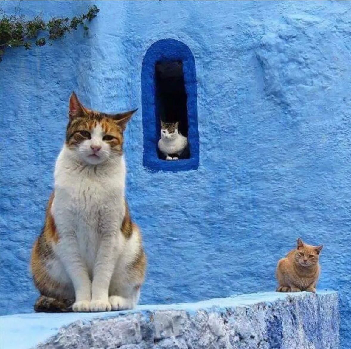 window_on_morocco