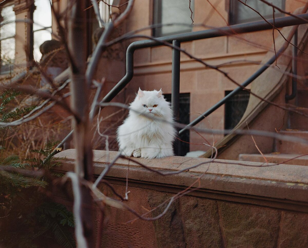 kevin_sweeneyphoto