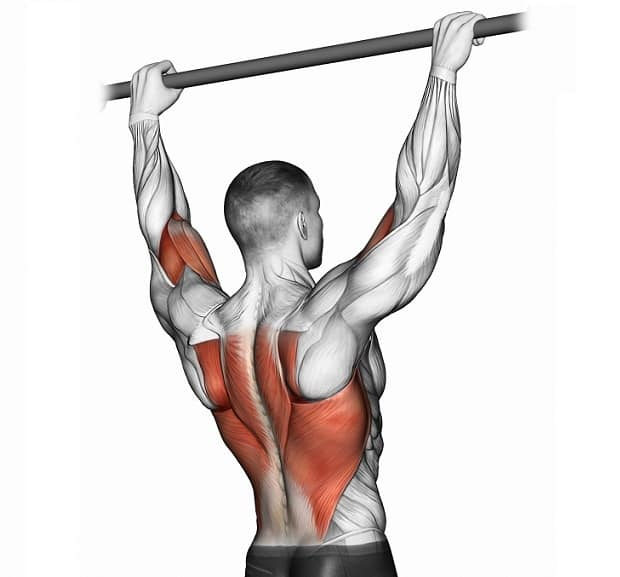 Источник фотографии: Яндекс картинки 
