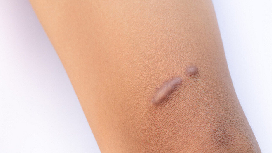     Источник: здесь и далее ShutterStock/Fotodom.ru