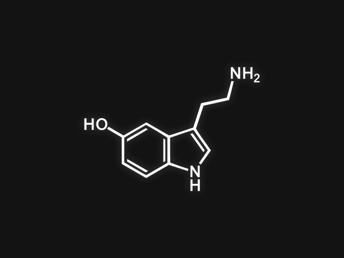 Звучит очень грозно и устрашающе, но прочитав эту статью у вас будет понимание того, что такое нейромедиаторы и как они работают.