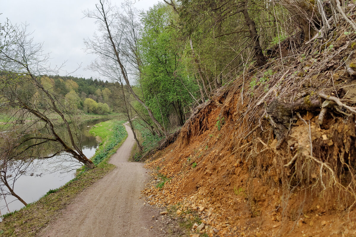 Участок велодорожки ВЕЛО-2 (Тучково-Волково)