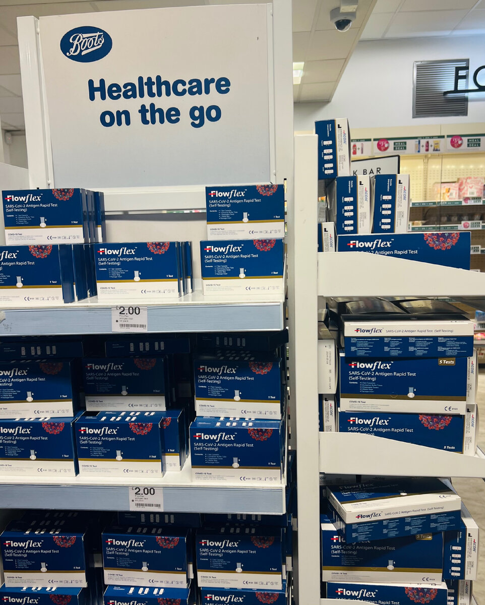 Вреден ли парацетамол для кошек? Узнайте о возможных последствиях