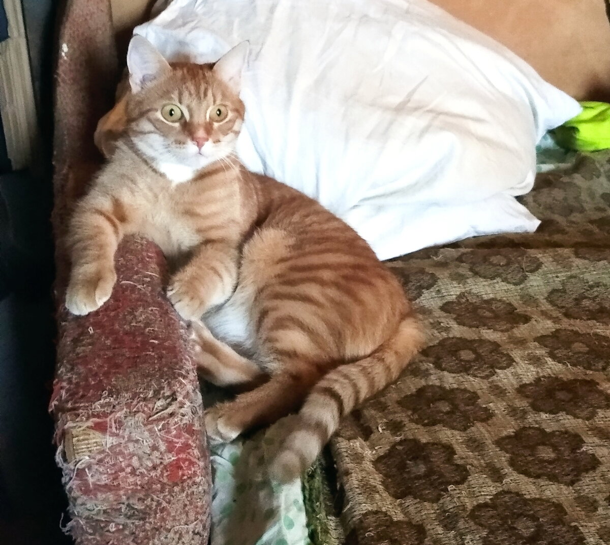 Личное  фото.