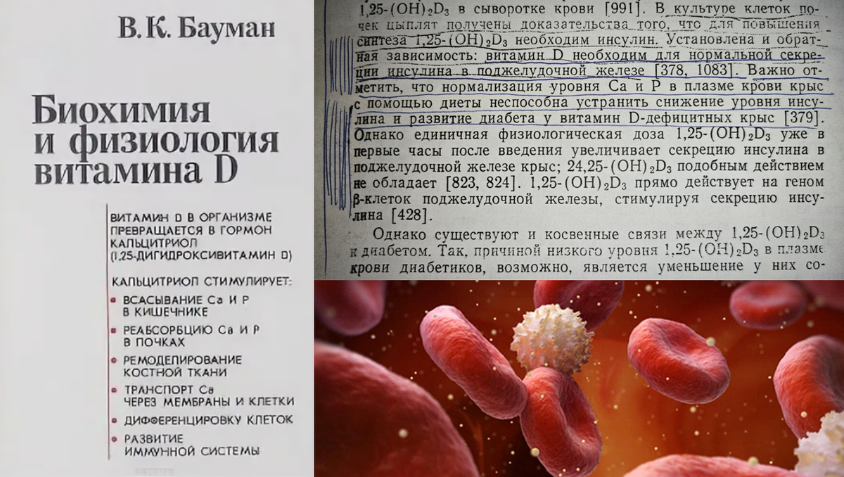 Что открыла советская наука о сахарном диабете первого типа?