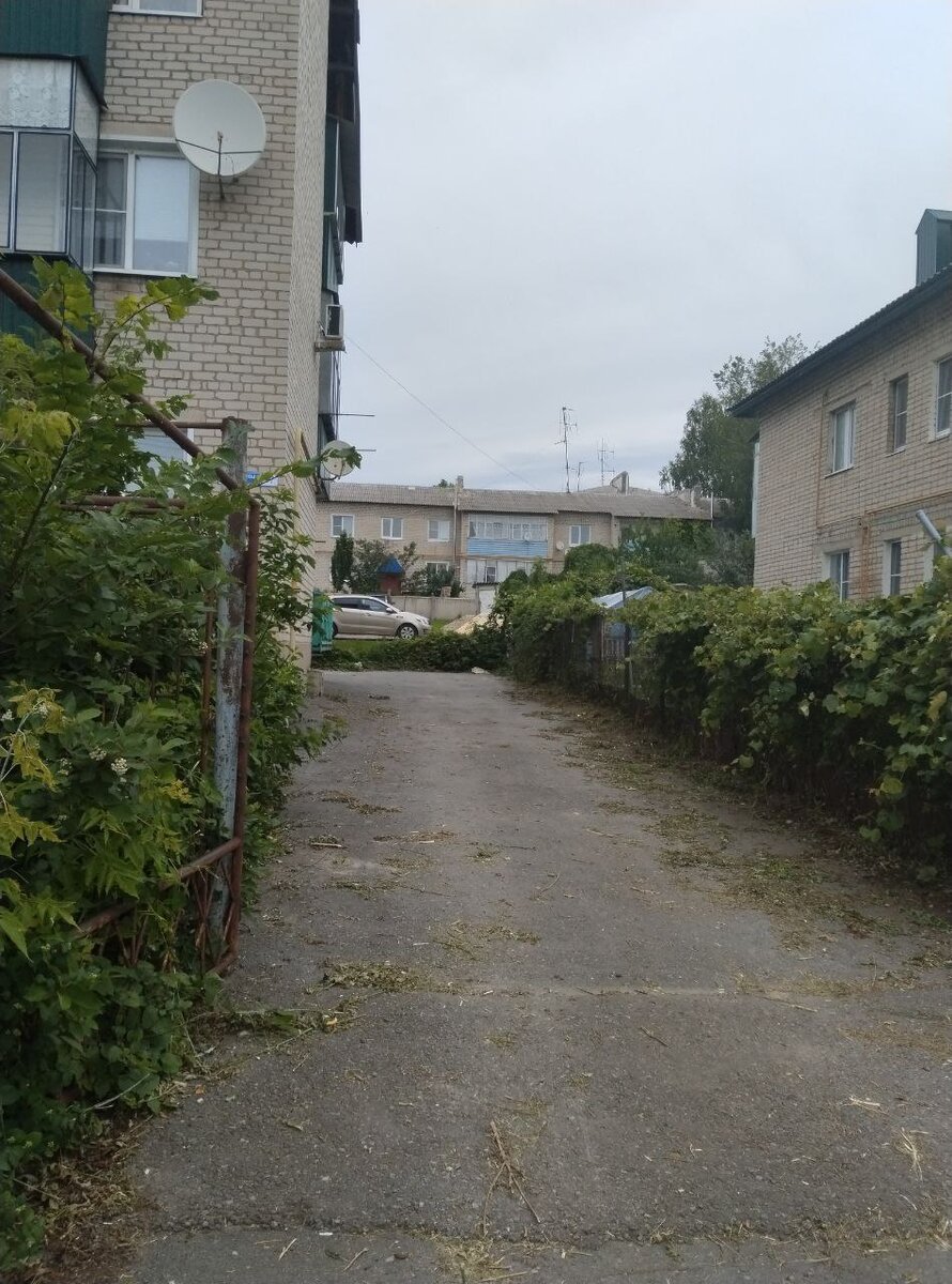 Малоэтажки на окраине Задонска