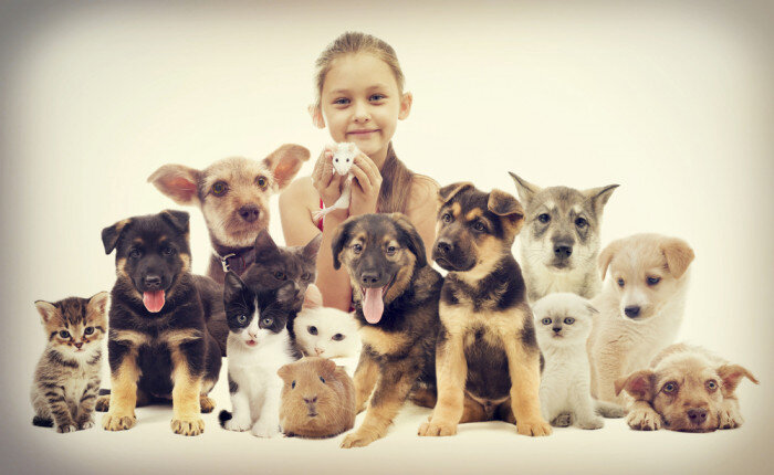 Фото из интернета