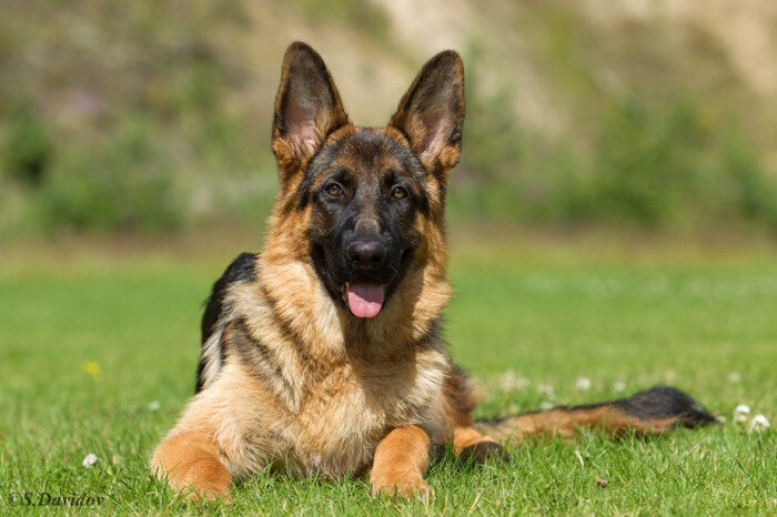 Фото из интернета