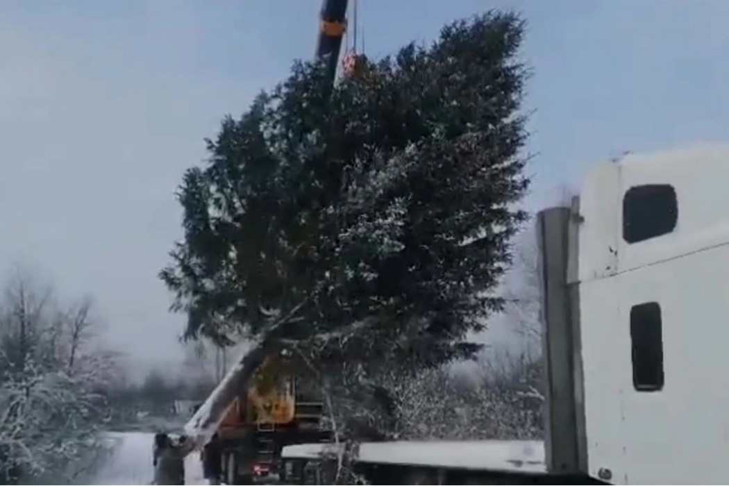 Фото: администрация Ашинского района Дмитрий Зайцев  📷
