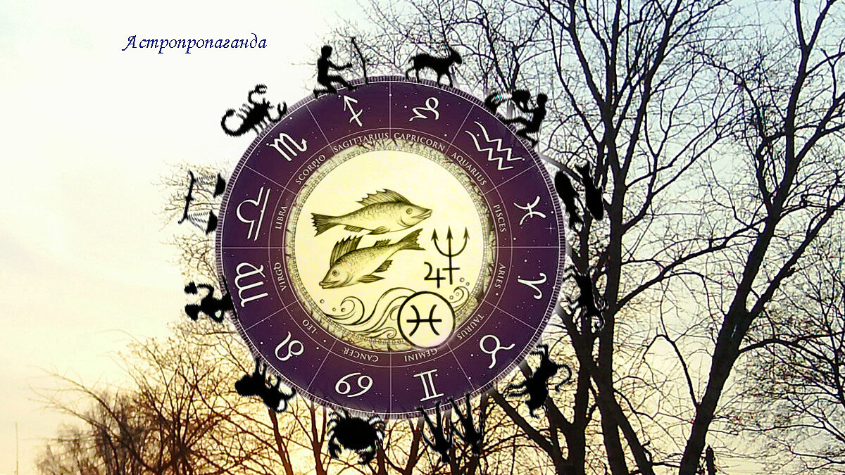 Коллаж Нины Стрелковой. 